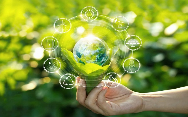 Environment Management Course